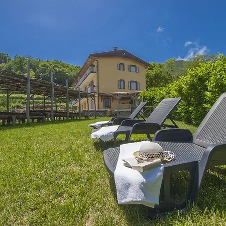 마마랄 아제롤라