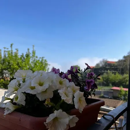 Mamaral 3* Agerola